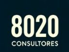 8020 Consultores